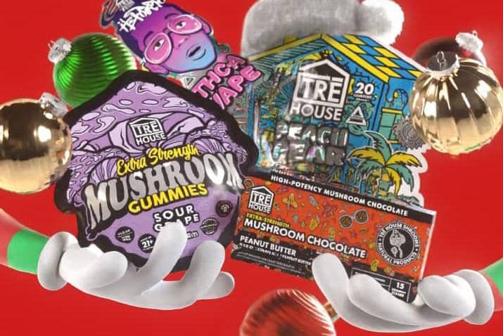 officialtreehouse.com