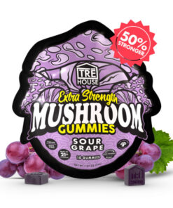Shop Sour Grape Magic Mushroom Gummies for bold grape flavor and a smooth, balanced experience. Easy-to-dose mushroom edibles.