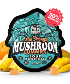 Shop Sour Tropical Magic Mushroom Gummies for bold tropical flavor and a smooth, balanced experience. Easy-to-dose mushroom edibles.
