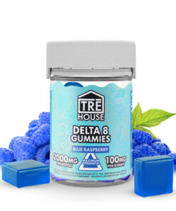Shop Blue Raspberry High-Potency Delta 8 THC Gummies for smooth flavor and long-lasting effects. Premium Delta 8 edibles with bold taste.